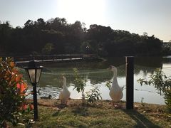 -厦门悦华酒店