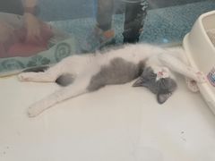 -乐宠宠物店(世纪金源店)