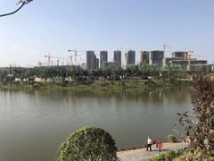 -枫香湖儿童公园