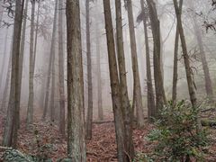 -丰都鬼城名山景区