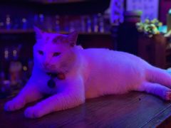 -星宿秘码(鼓浪屿老店)