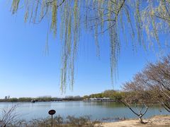 -大兴滨河森林公园