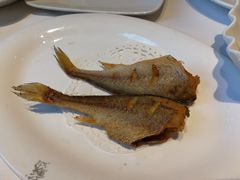 -苏浙汇(肇嘉浜路总店)
