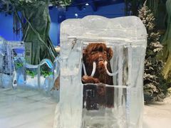 -广州热雪奇迹