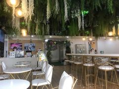 -Husky Go! 哈士奇体验馆·宠物咖啡厅狗咖