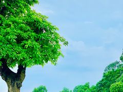 -露天矿生态公园