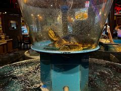 -魏铭鱼头捞饭(晋阳路店)