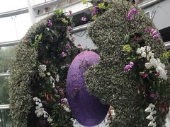 -深圳国际园林花卉博览园