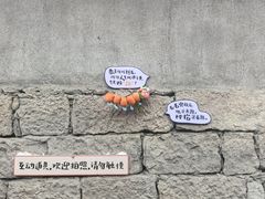 -林坑古村落