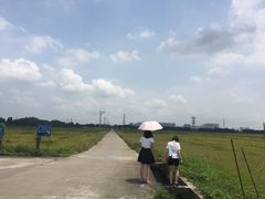 -崖口云吞(中堡店)