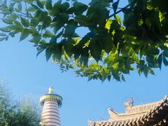 -张掖大佛寺景区