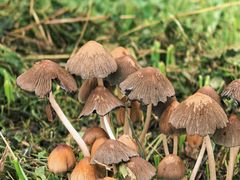 -汉长安城未央宫国家考古遗址公园