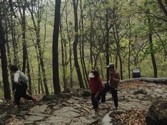 -阳台山自然风景区