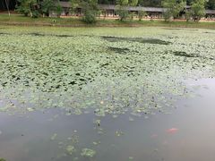 景点-景德镇古窑民俗博览区