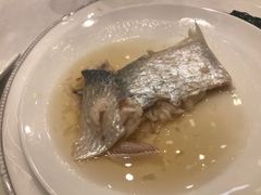 清蒸鲥鱼-新花城蟹粉馆(乌鲁木齐店)