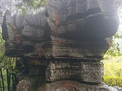 -梭布垭石林景区