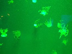 -福州罗源湾海洋世界旅游区