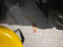 -杰哥龙虾馆(南湖广宏汇店)