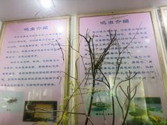 -上海昆虫博物馆