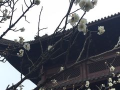 -钱王祠