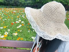 -秦皇岛野生动物园
