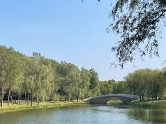 -东郊湿地公园