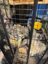 -酷嗒动物文化乐园(cutezoo西溪乐天城店)