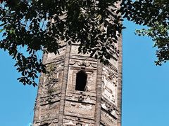 -上海佘山国家森林公园天马山园