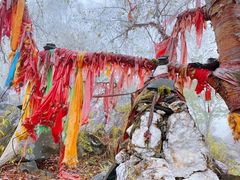 -叠溪松坪沟景区