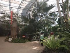 -北京植物园-展览温室