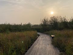 -永定河休闲森林公园