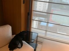 -广州德安丽舍凯宾斯基酒店