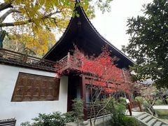 -十八棵（老龙井）御茶园(老龙井店)