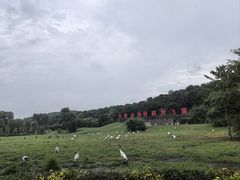 -沈阳森林动物园