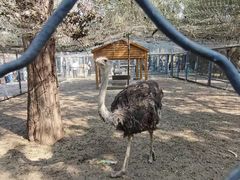 -长白岛森林公园