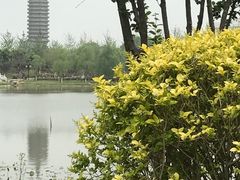 -西海子公园