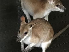 -热带雨林自然公园