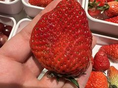 -蓝鲸湾汤泉(包河店)