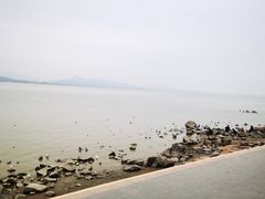 -深圳湾公园(南山区)