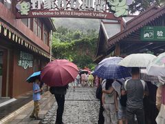 -野象谷景区