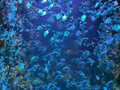 -海合安青岛极地海洋公园