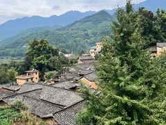 -杨家堂村