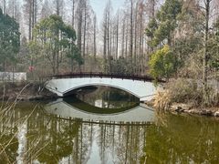 -东平国家森林公园
