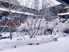 -秦岭风景区