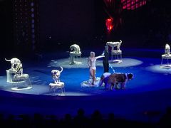 -珠海横琴长隆《卡卡虎奇遇记》