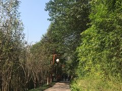 -重庆彩云湖湿地公园