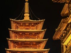 -车头老二大排档(金城步行街店)