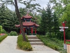 -黄椅山火山森林公园