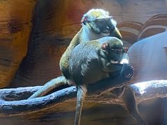 -南京金牛湖风景区