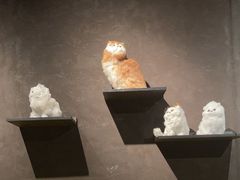 -黄晓猫剁椒大鱼头(海岸城店)